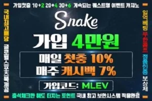 SNAKE 가?4만원